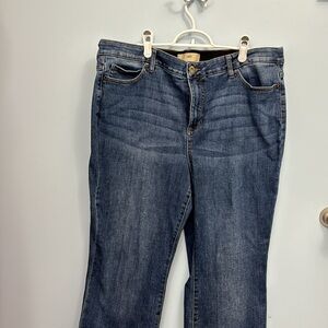 Ricki’s Jeans 16R